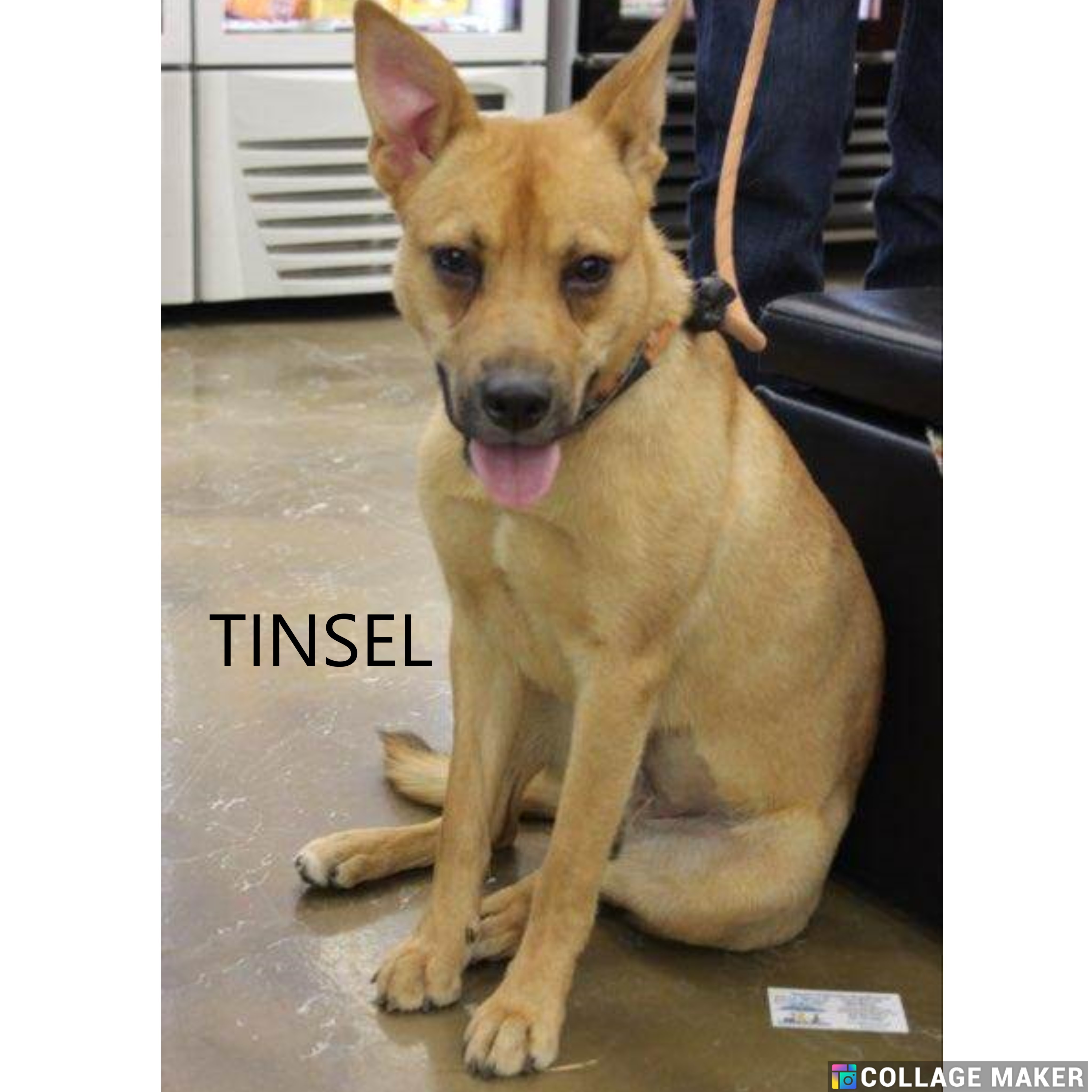 Tinsel