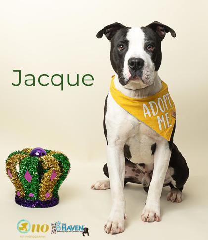 Jacque