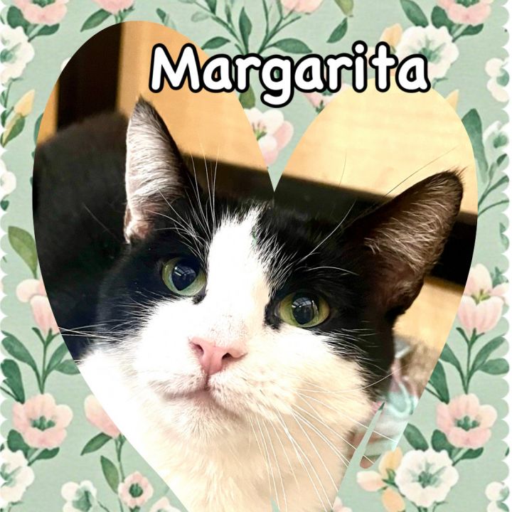 Margarita 1