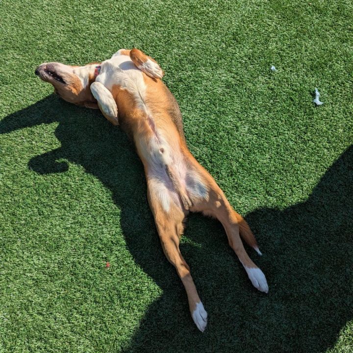 Coco 5