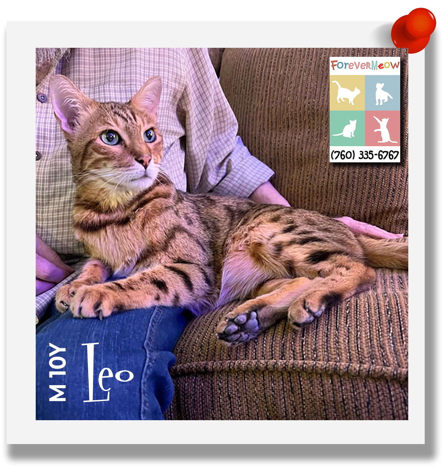 Leo
