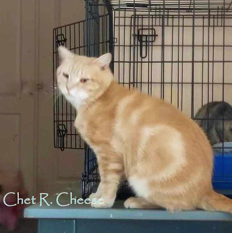 Chet R. Cheese