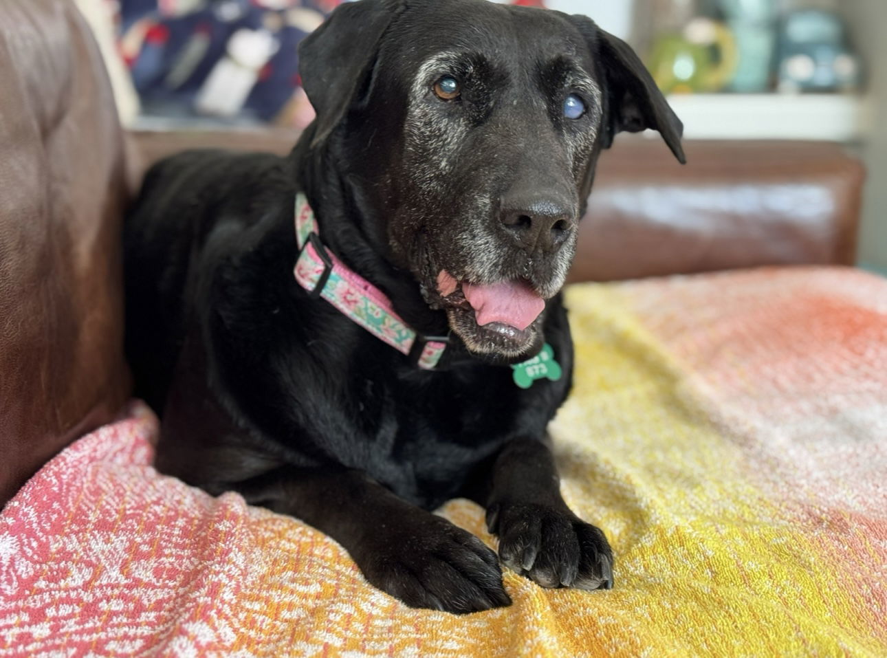 Lilly