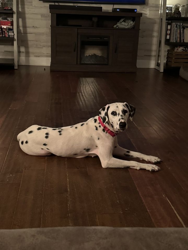 Pepper 1