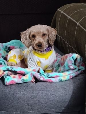 Maggie Mae