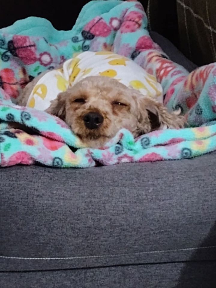 Maggie Mae 2