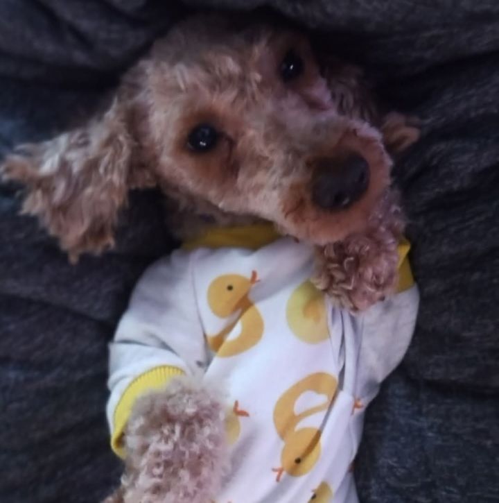 Maggie Mae 3