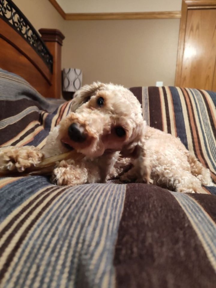 Maggie Mae 4