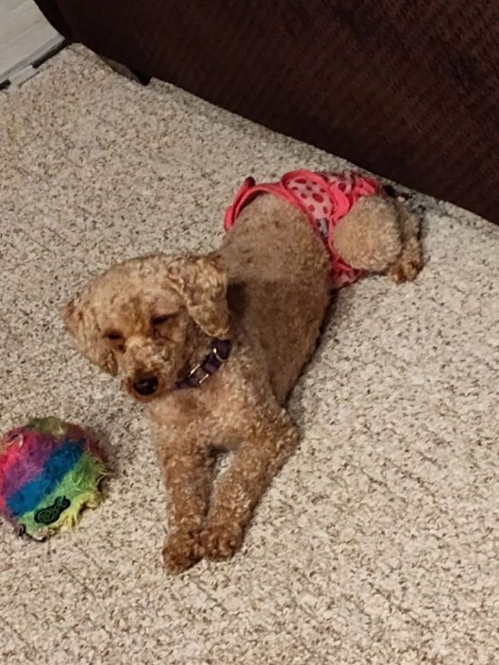 Maggie Mae 5