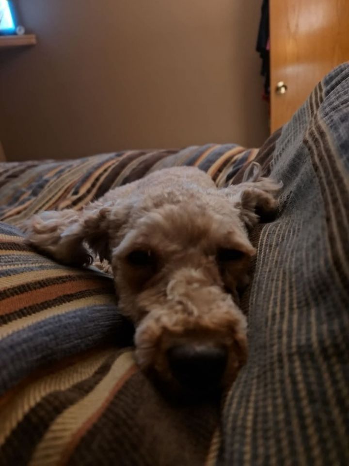 Maggie Mae 6