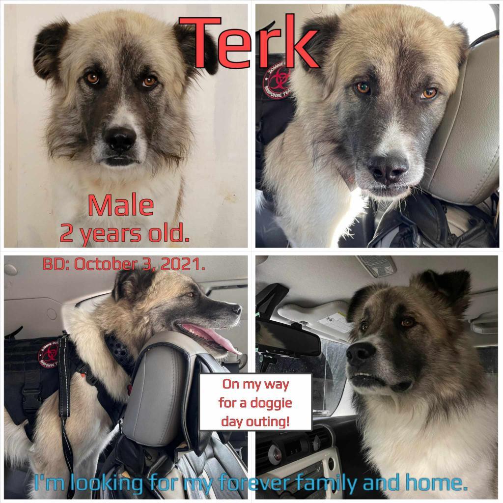 Terk