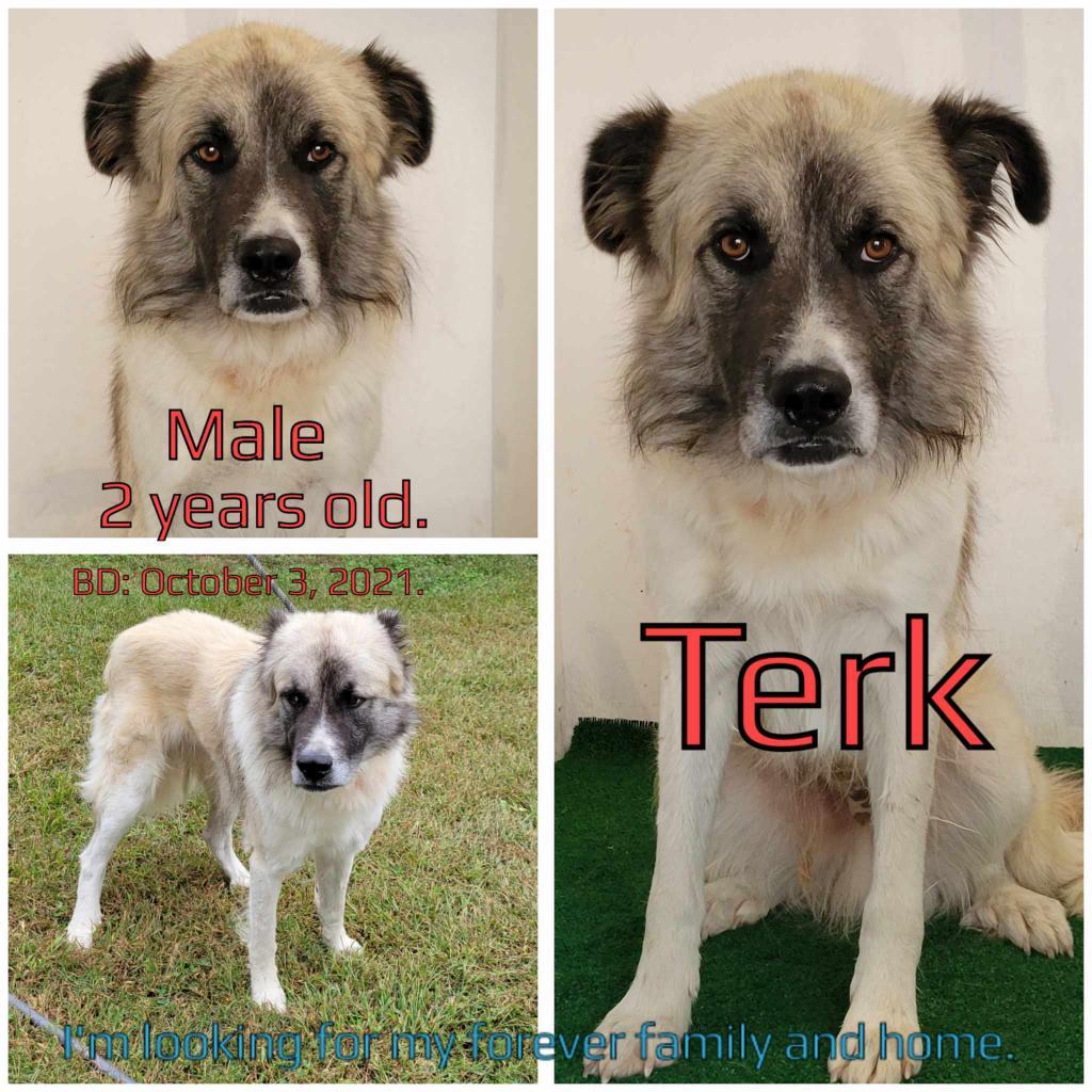 Terk
