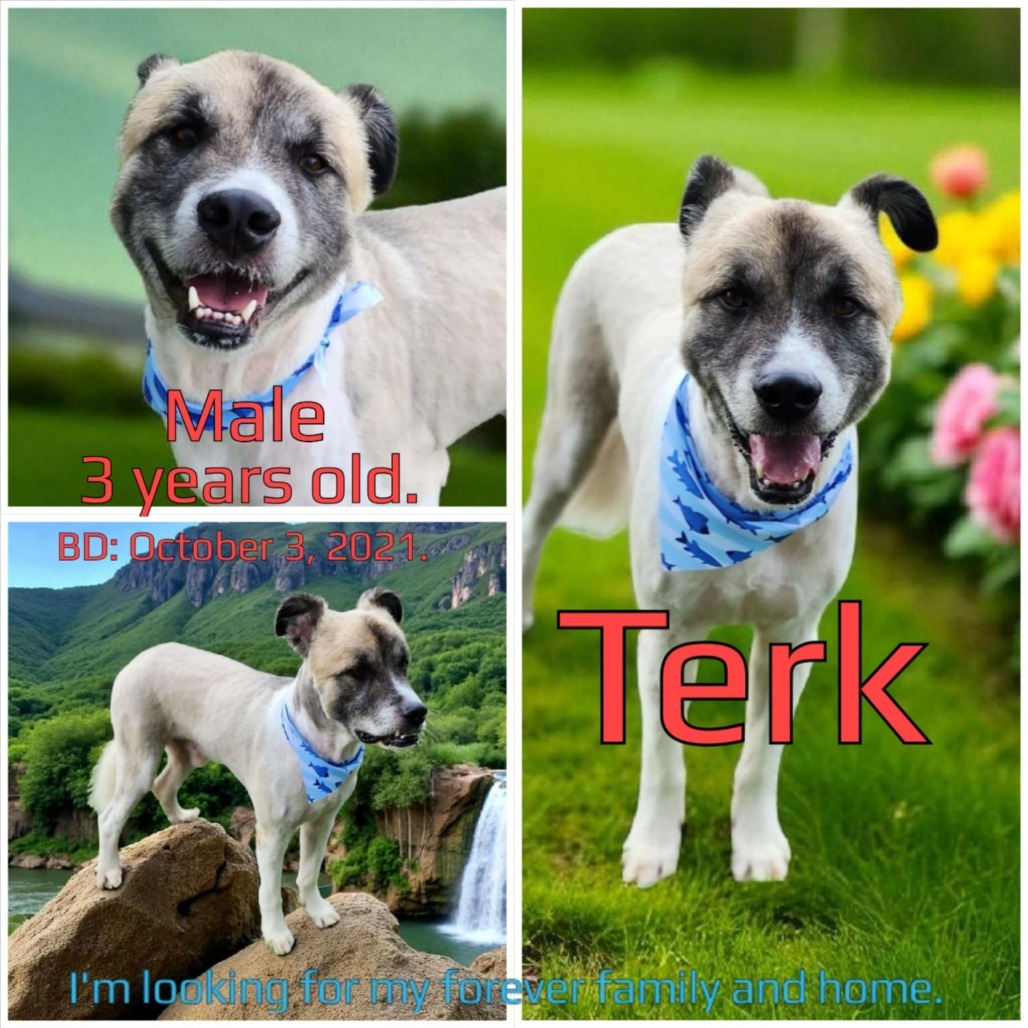 Terk