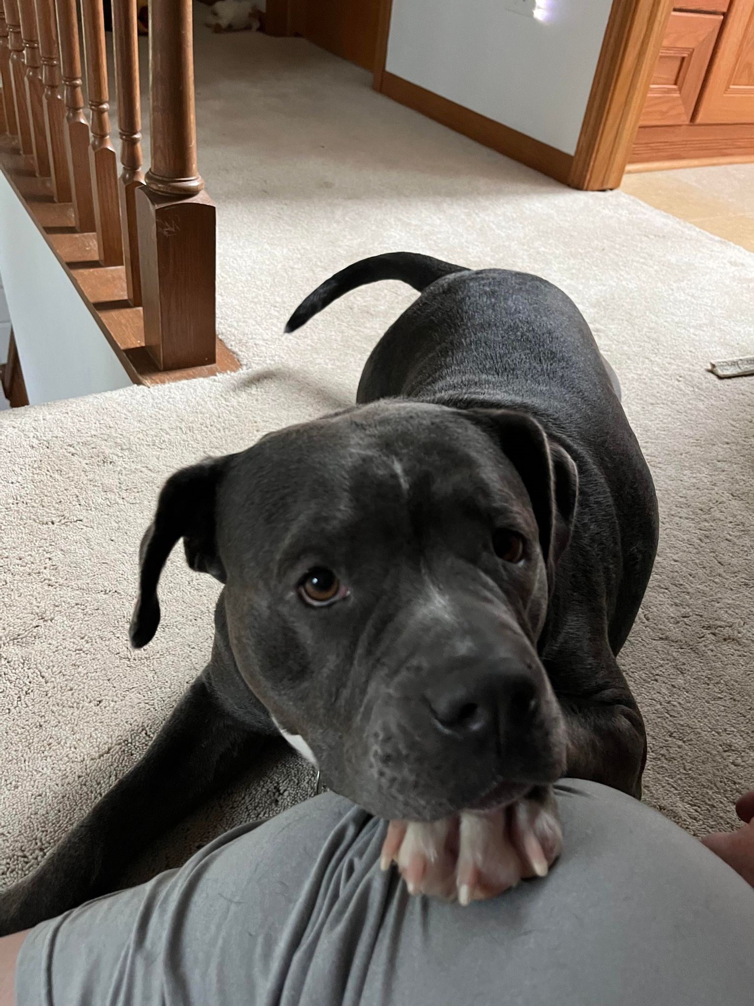 Luna