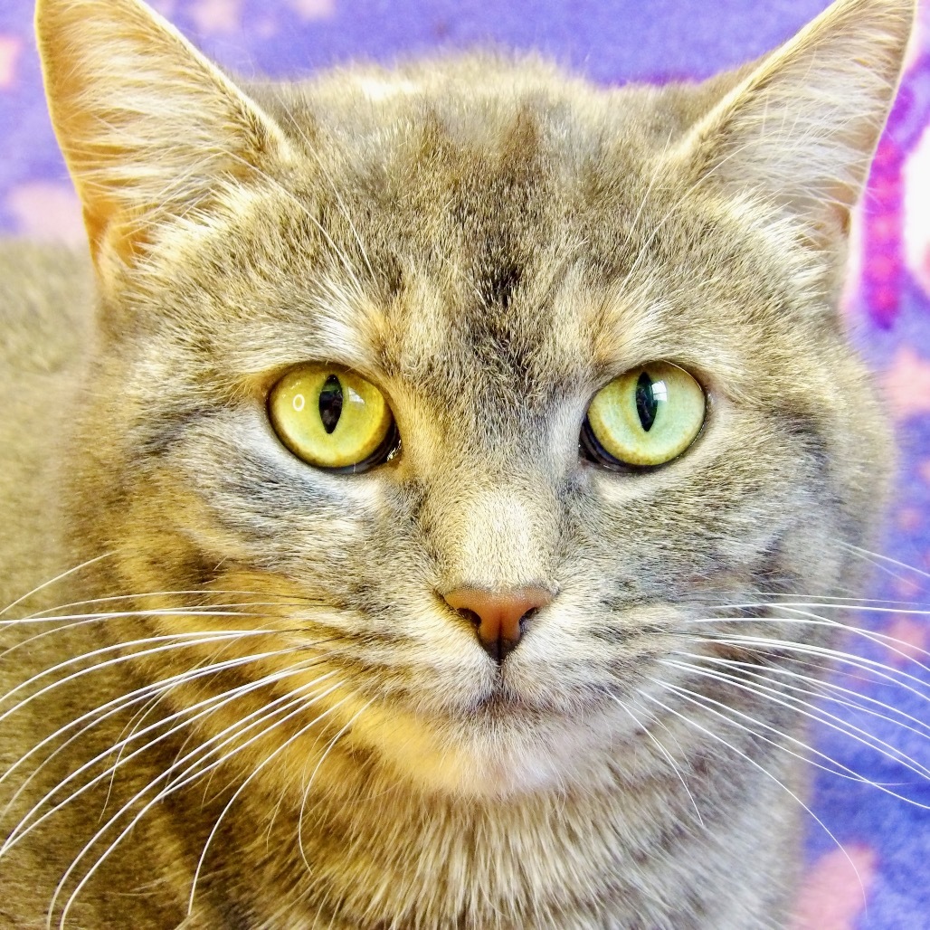 Rosie