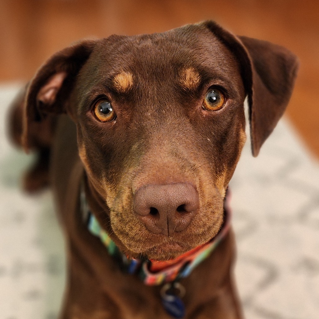 Mali