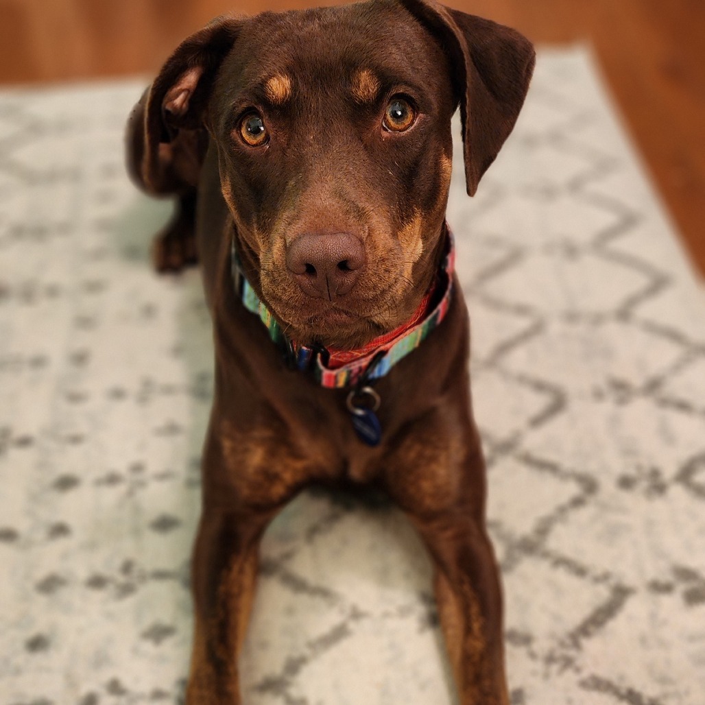 Mali