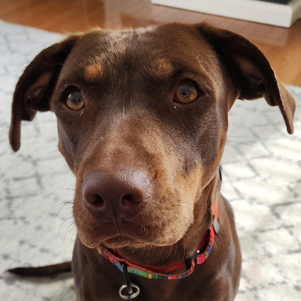 Mali