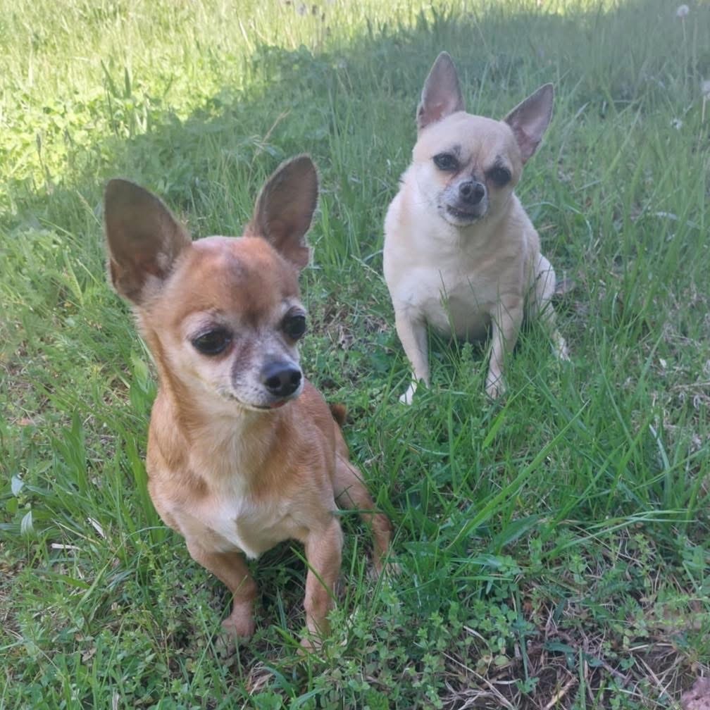 Mimi & Kiki (BONDED)