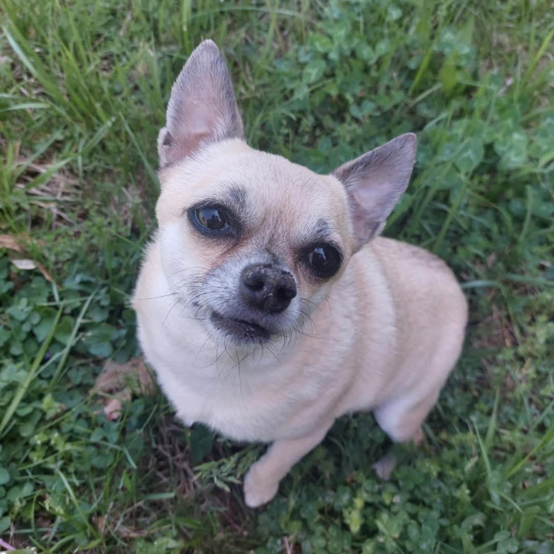 Mimi & Kiki (BONDED)