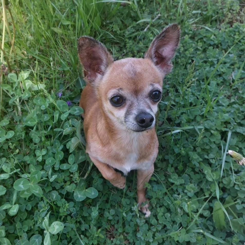 Mimi & Kiki (BONDED)