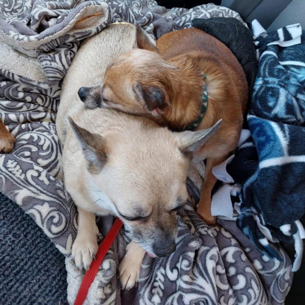 Mimi & Kiki (BONDED)