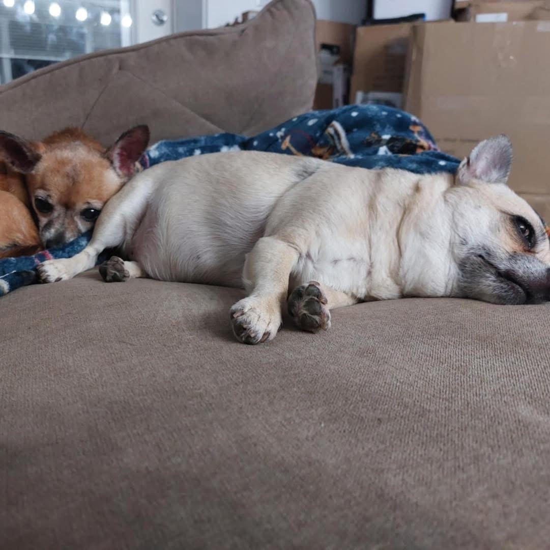 Mimi & Kiki (BONDED)