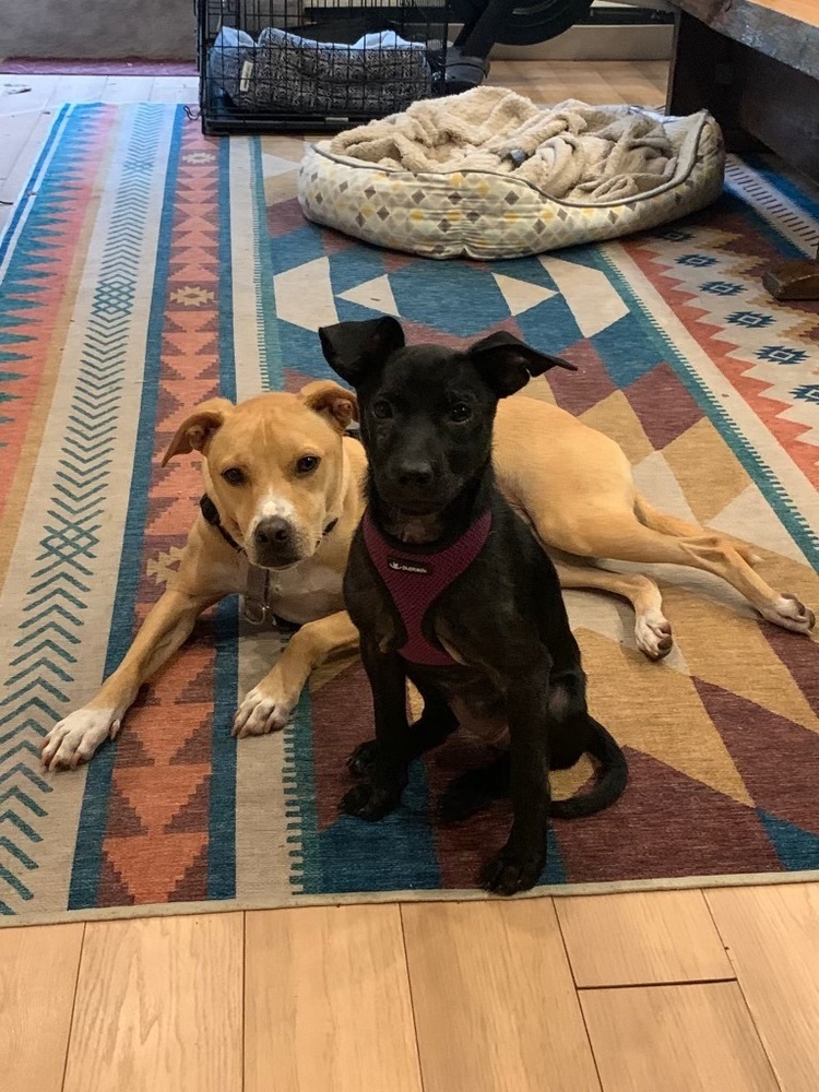 Cheerful Charlie and Magnificant Millie