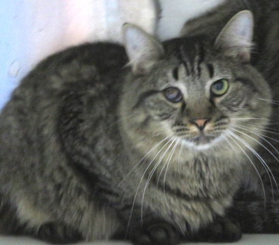 Billy 1