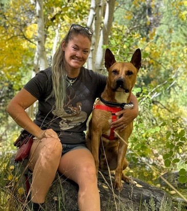 Bingo, an adoptable Mixed Breed in Portola, CA, 96122 | Photo Image 3