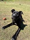 Black Mary (In Foster)