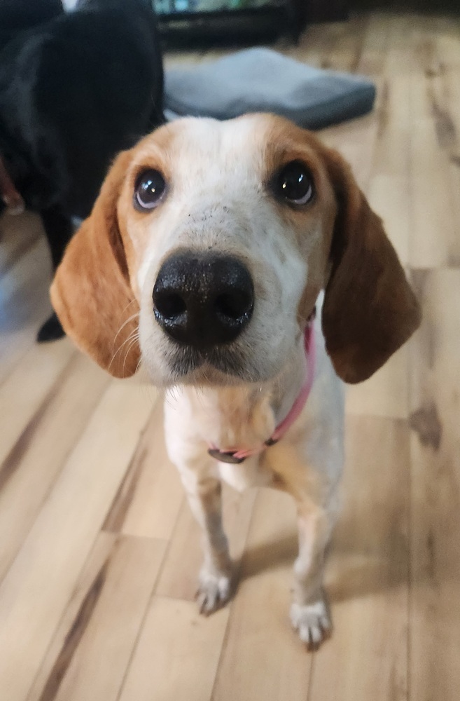 Maebe