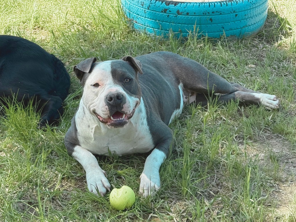Pearla