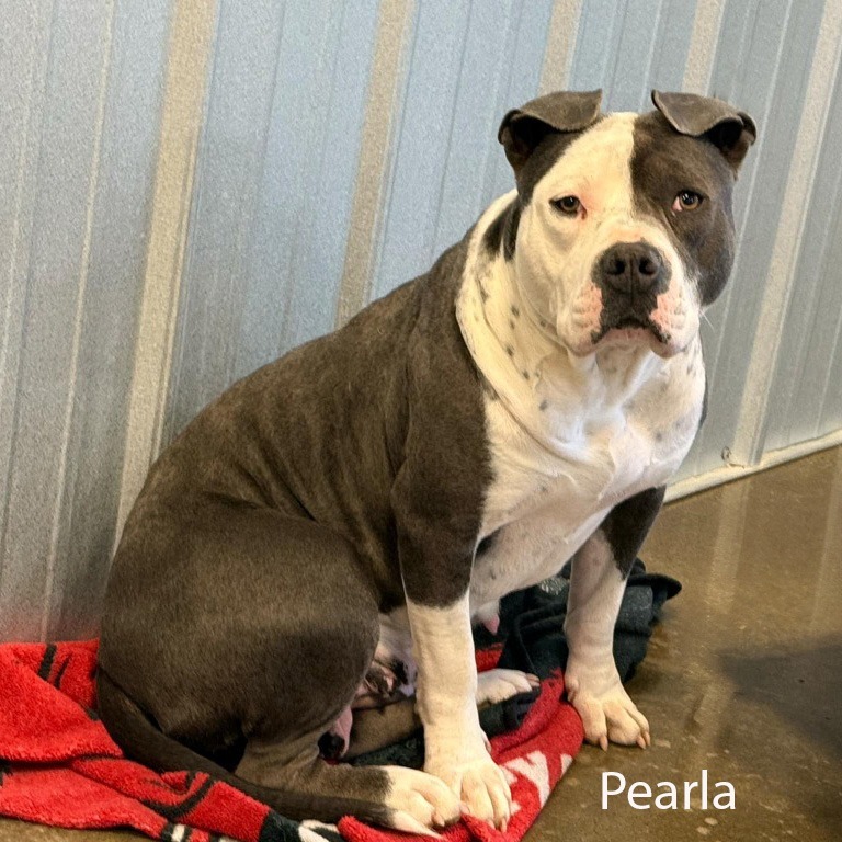Pearla