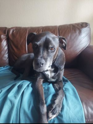 Skippy, Senior Male unknown