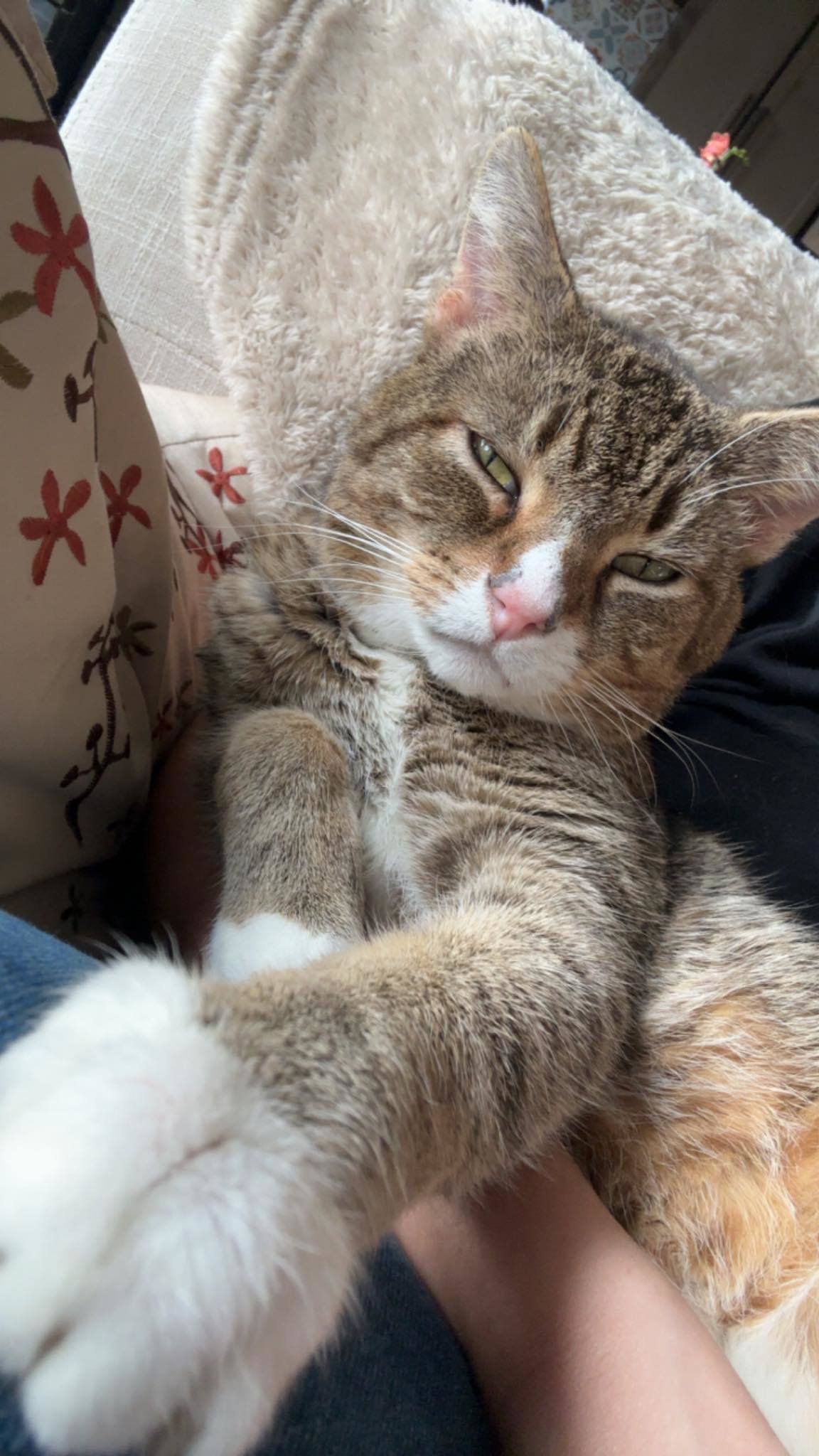 Artist Formerly Known As Prince