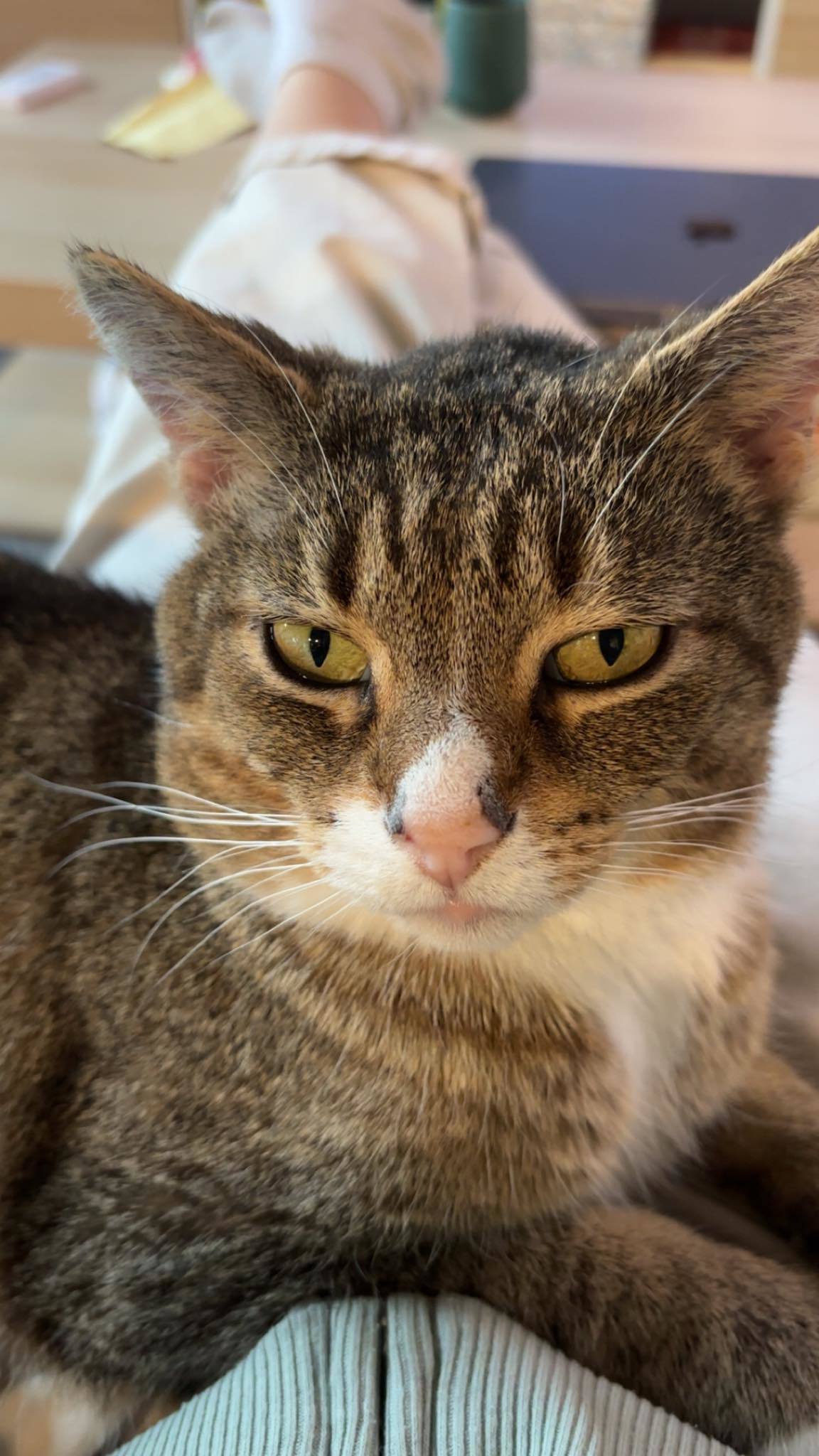 Artist Formerly Known As Prince