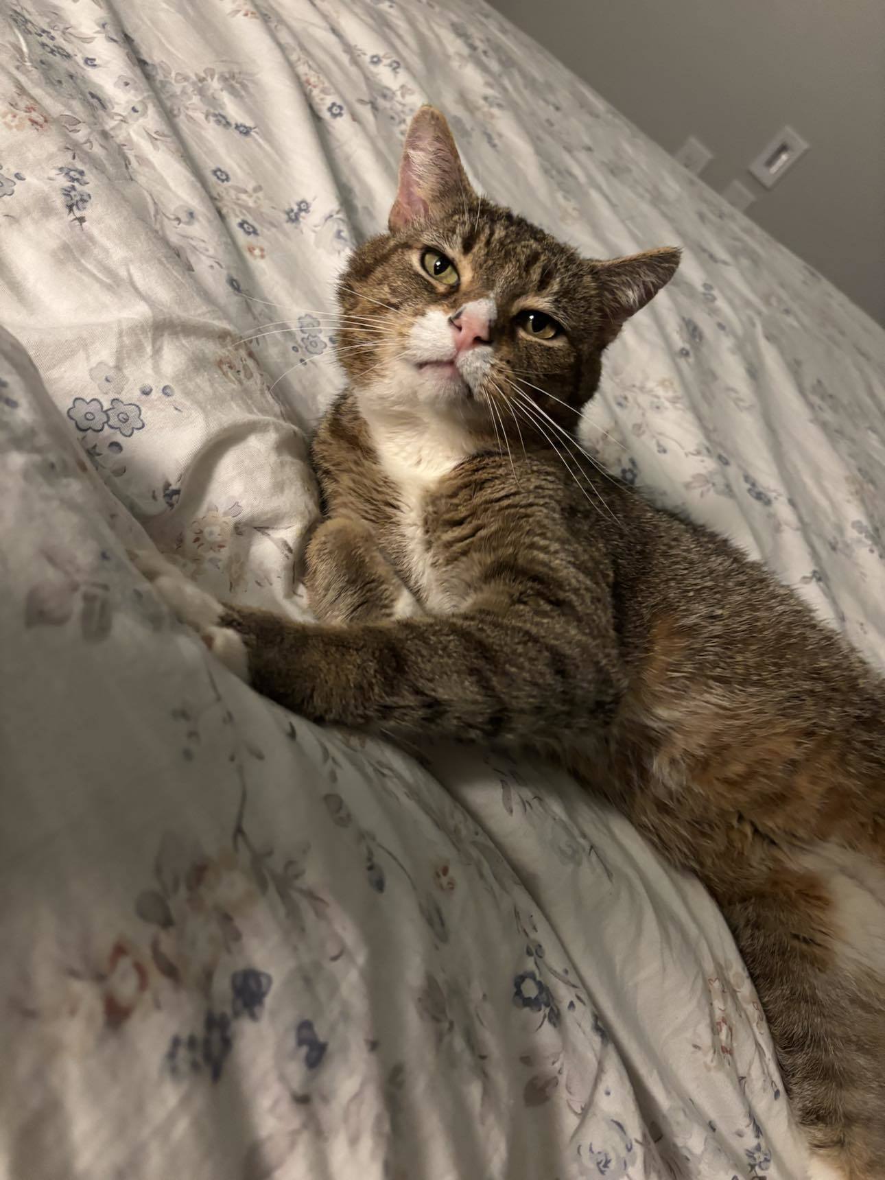 Artist Formerly Known As Prince