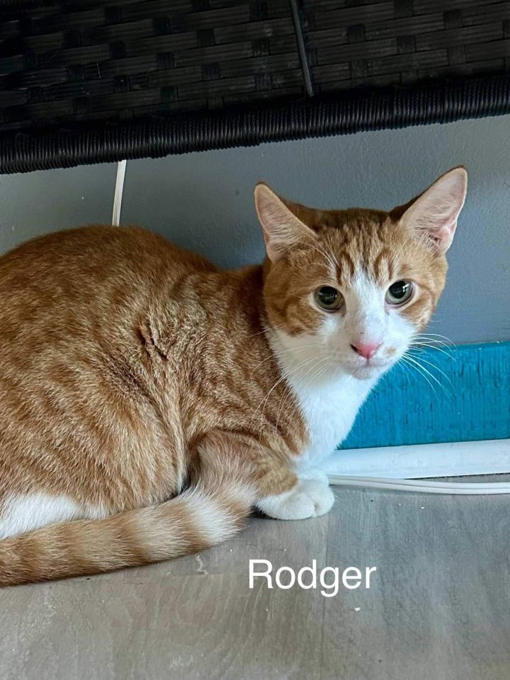 Rodger 1