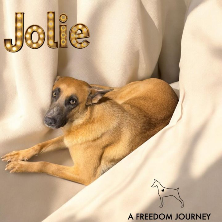 Jolie 1