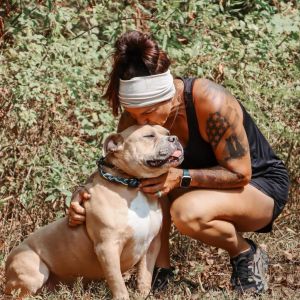 Draco, Adult Male Pit Bull Terrier
