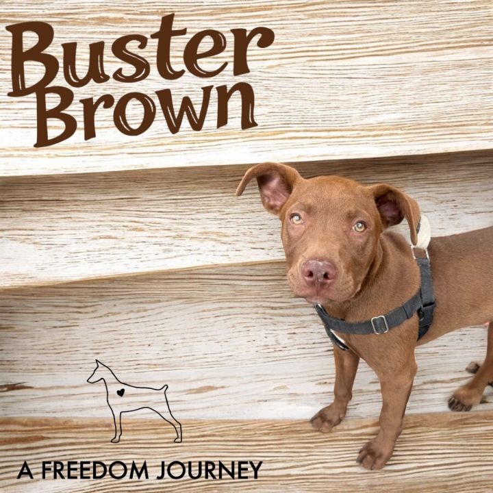 Buster Brown 1