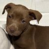Buster Brown photo 2