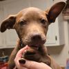 Buster Brown photo 3
