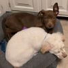 Buster Brown photo 4