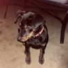 Ellie photo 4