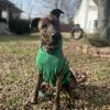 Layla photo 3
