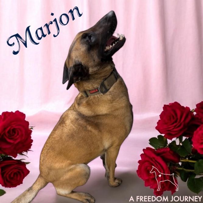 Marjon
