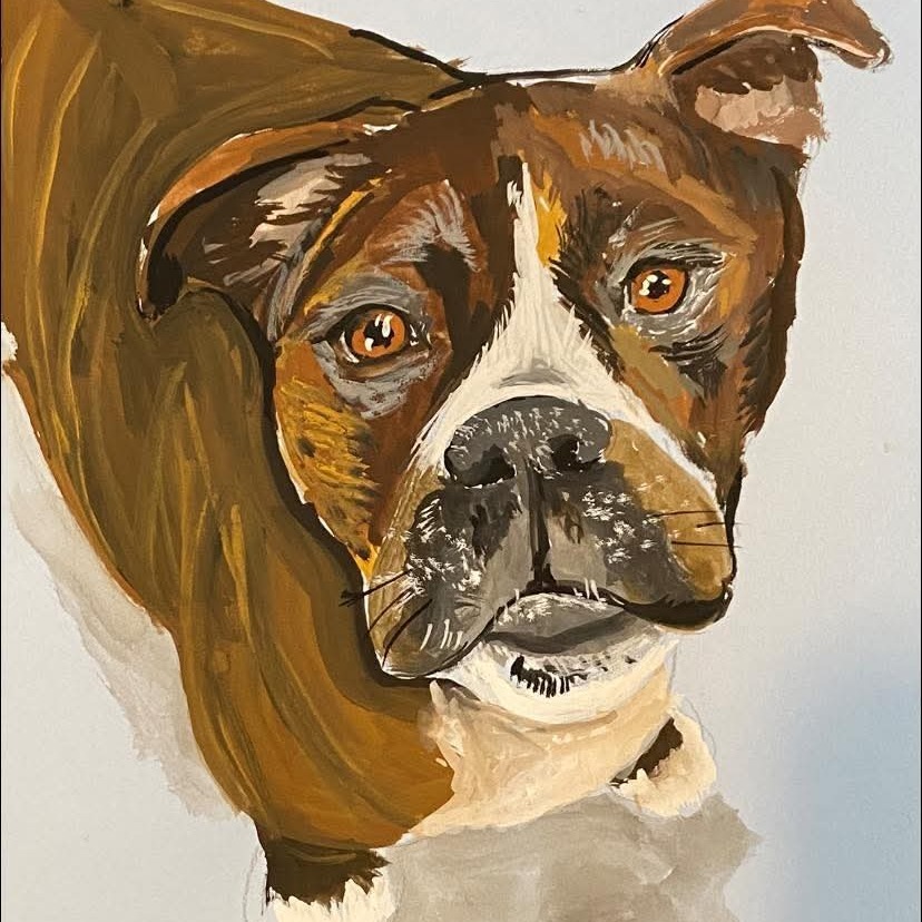 Rex, an adoptable Boxer, Mastiff in Park Falls, WI, 54552 | Photo Image 5
