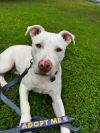 Casper photo 1